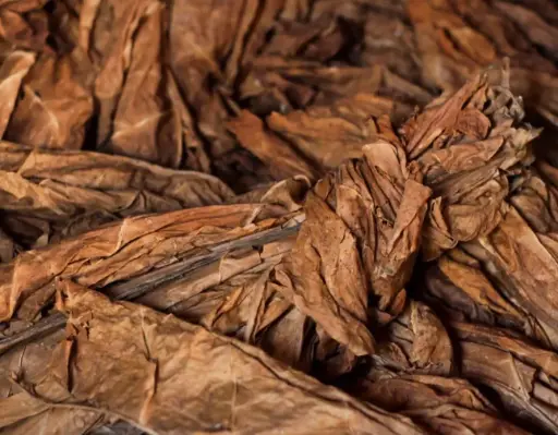 Red Rose One Pound Leaf